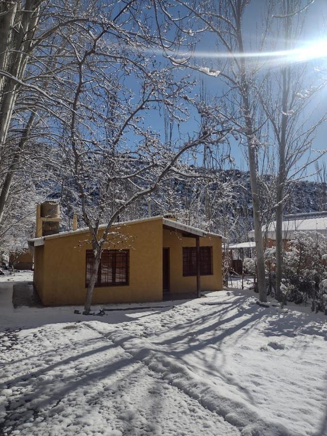 Cabana Pura Vida Potrerillos Ngoại thất bức ảnh